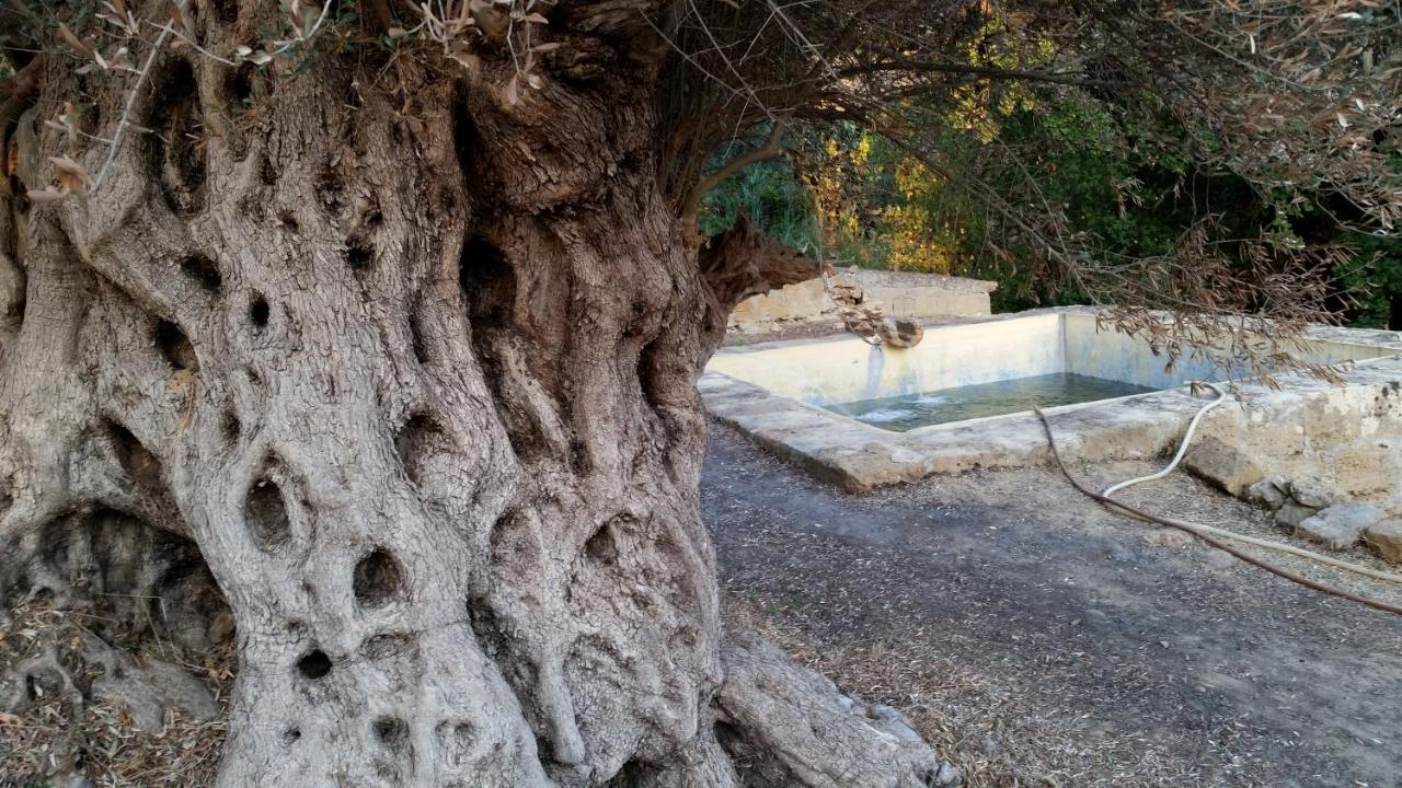 Villa Gli Ulivi di Atena Agrigento Esterno foto