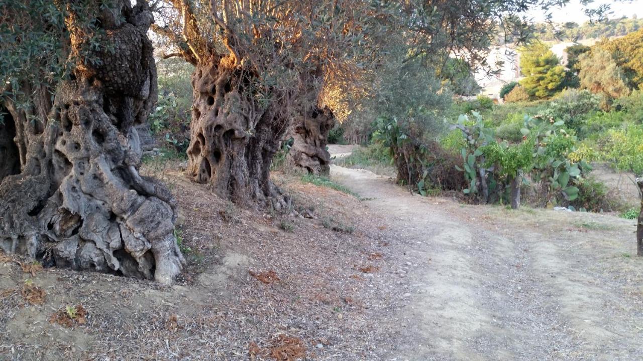 Villa Gli Ulivi di Atena Agrigento Esterno foto