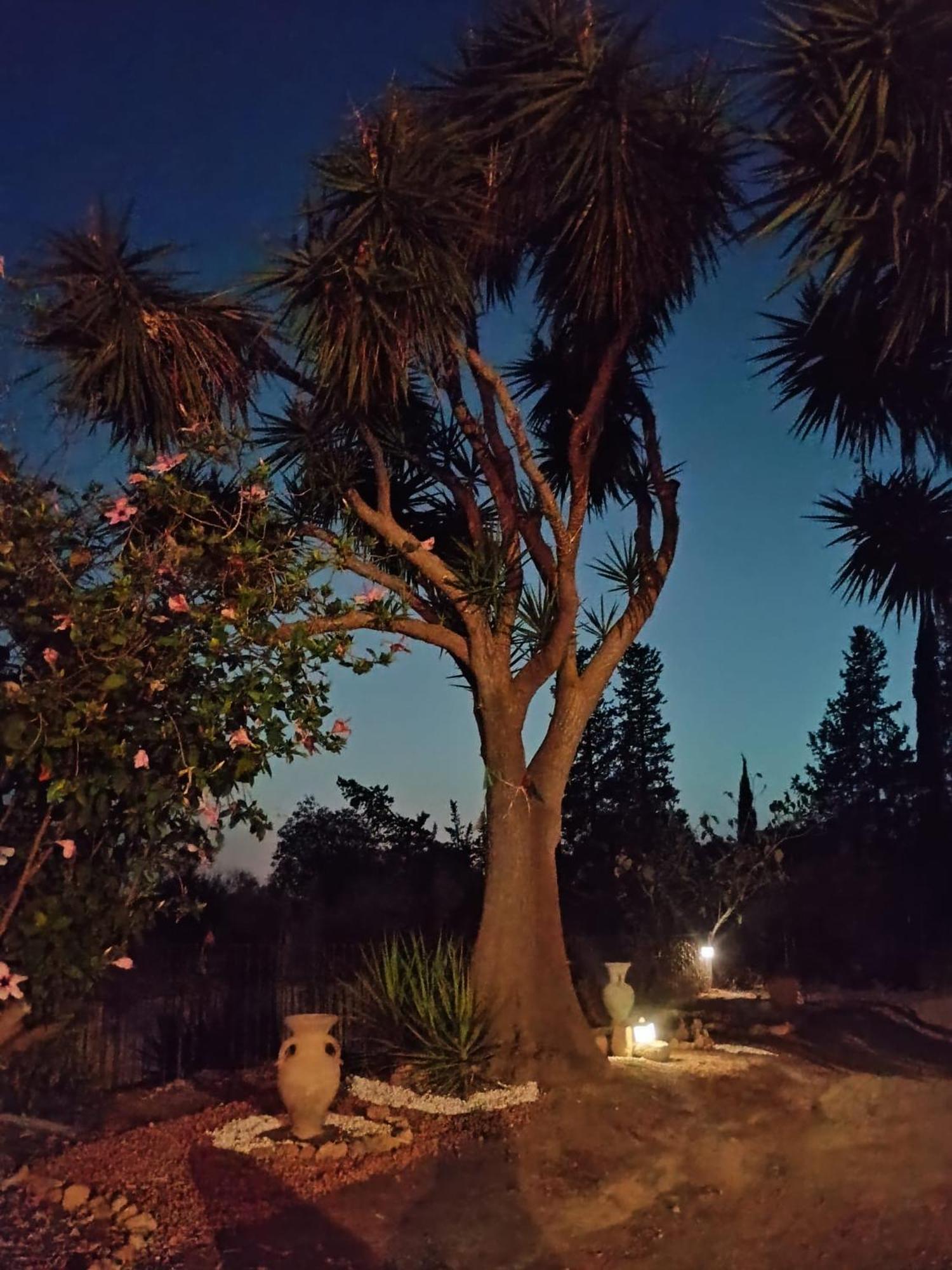 Villa Gli Ulivi di Atena Agrigento Esterno foto