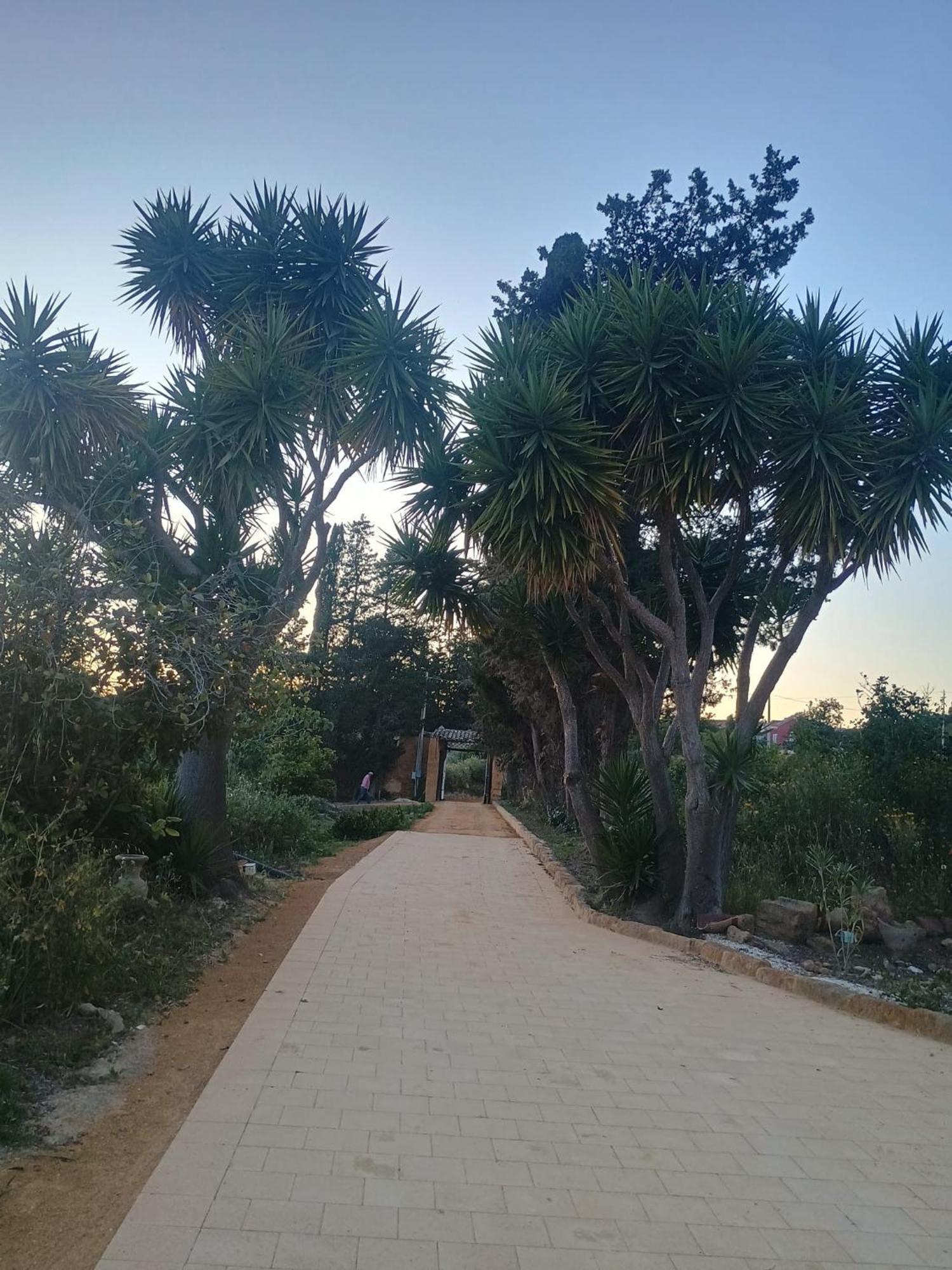 Villa Gli Ulivi di Atena Agrigento Esterno foto